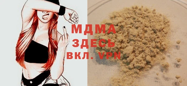 spice Богородицк