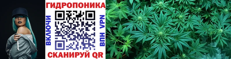 Бошки марихуана White Widow  Уяр 